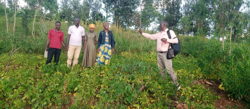 Jeunes de Gasorwe dans leur champ de soja